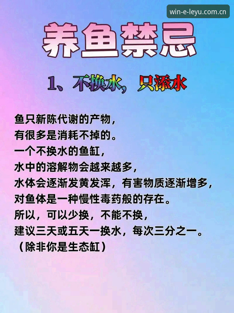 乐鱼体育平台新手使用完整指南——老用户手把手教你避开常见坑